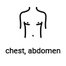 chest, abdomen